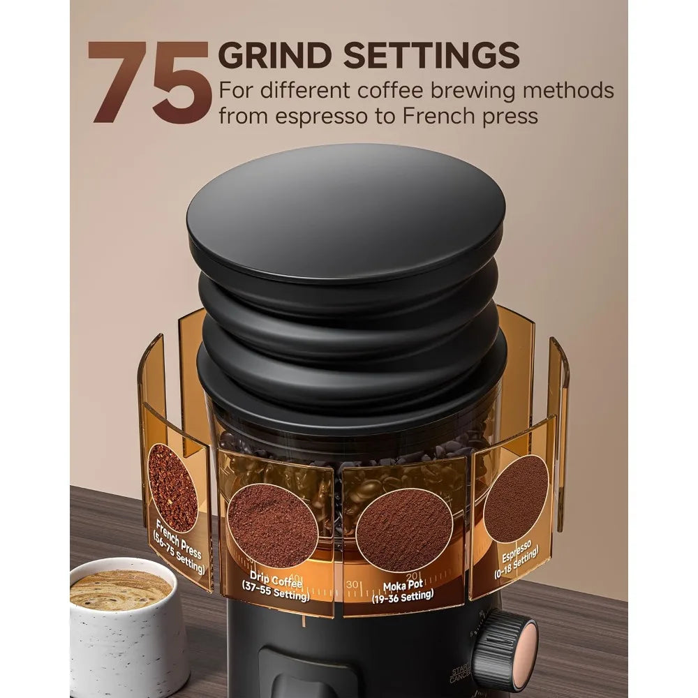Single Dose Coffee Grinder Anti-Static Design Quiet Motor & LED Light