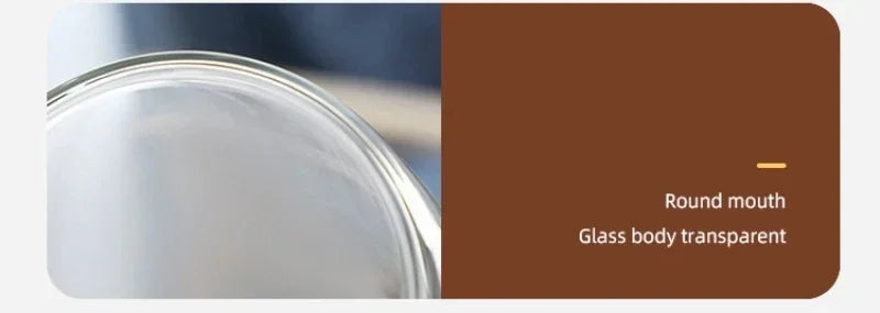 Heat Resistant Clear Double Wall High Borosilicate Glass Mug with Handle Coffee